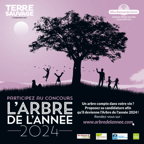 Concours Arbre de l'Année 2024