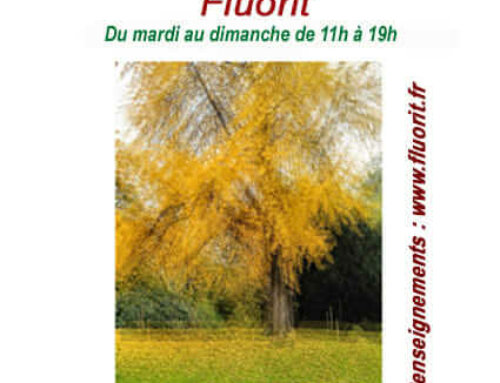 Expo Trees jusqu’au 29 mars 2024 sur la péniche L’eau et les rêves (Paris 19e)
