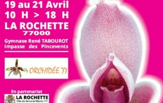 Biennale d'orchidées organisée par l'association Orchidée 77 du 19 au 21 avril 2024