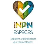 INPN Espèces application