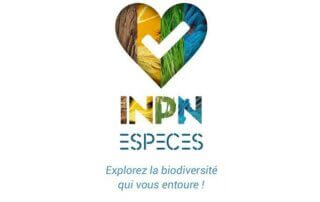 INPN Espèces application