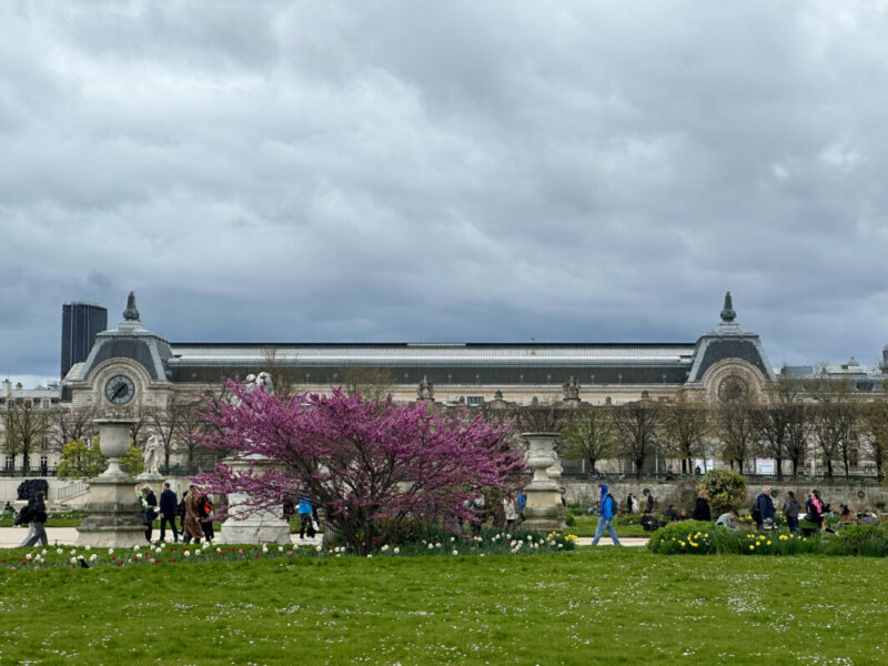 Au début du printemps dans le Jardin des Tuileries, Paris 1er (75)