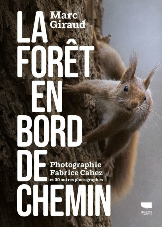 forêt en bord de chemin
Marc Giraud, Éditions Delachaux et Niestlé
