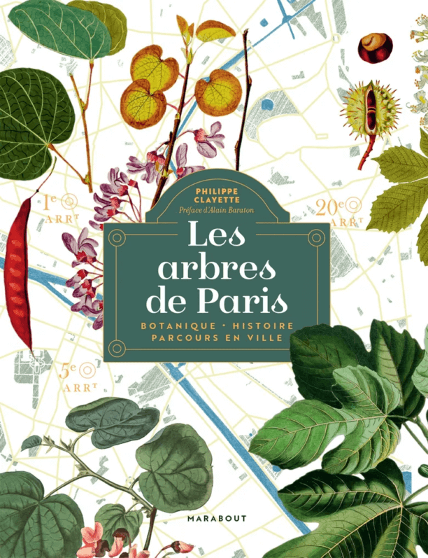 Lire la suite à propos de l’article Les arbres de Paris