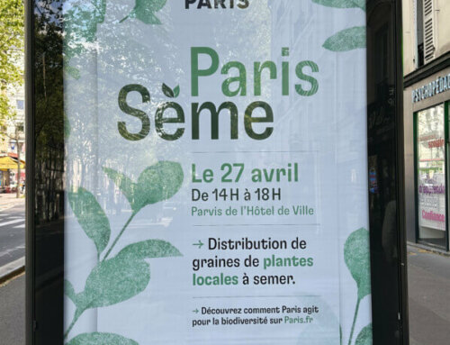 Paris Sème le 27 avril 2024 sur le parvis de l’Hôtel de Ville