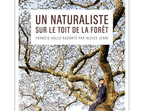Un naturaliste sur le toit de la forêt Alexis Jenni raconte Francis Hallé
