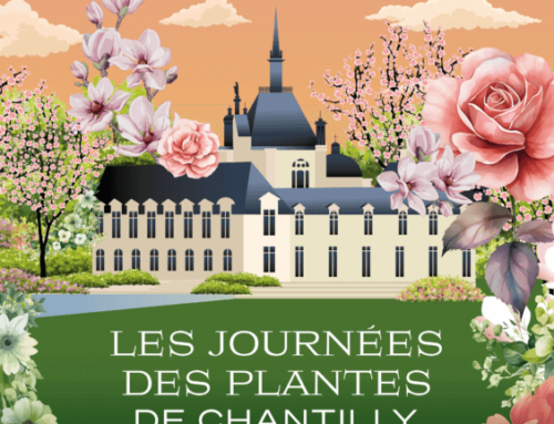 Les Journées des Plantes de Chantilly les 17, 18 et 19 mai 2024