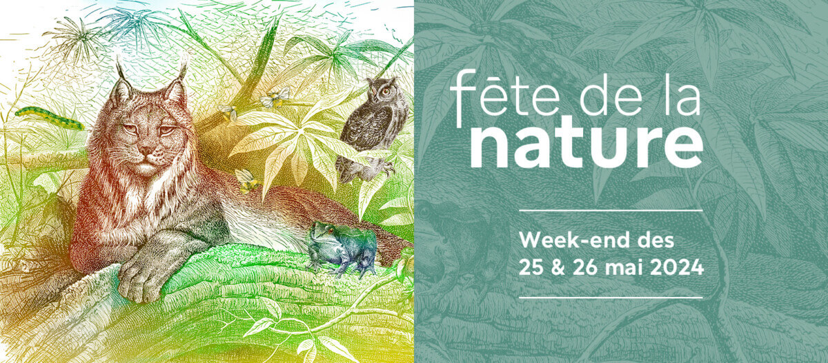 Lire la suite à propos de l’article Le Muséum national d’Histoire naturelle célèbre la Fête de la Nature les samedi 25 et dimanche 26 mai 2024