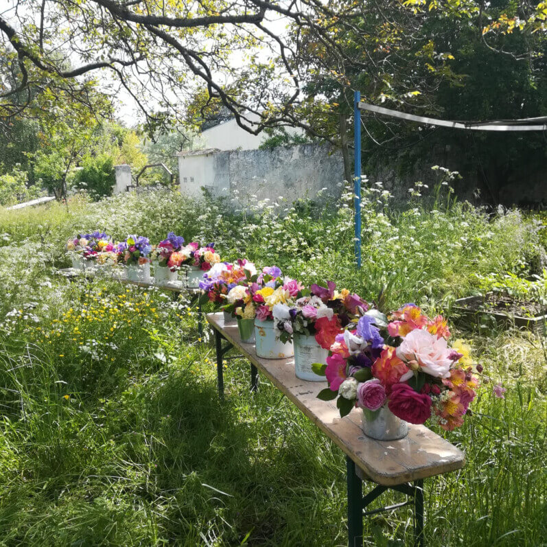 Lire la suite à propos de l’article Fête de la Rose au Jardin-école de Montreuil le dimanche 26 mai 2024
