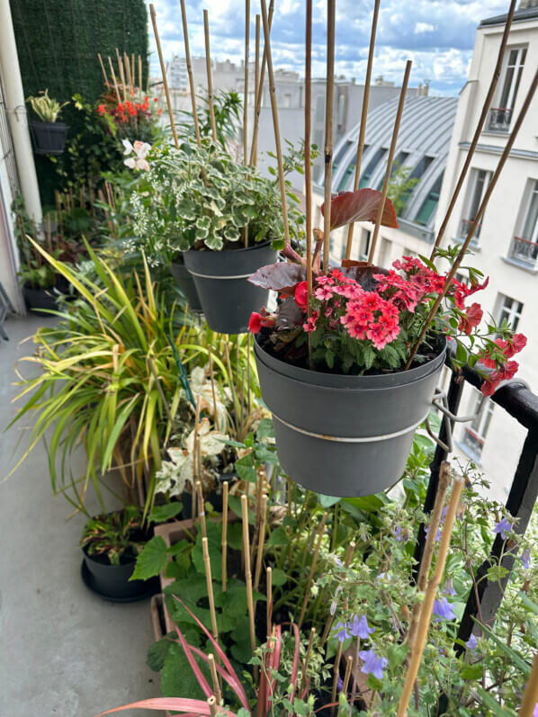 Au printemps sur mon balcon parisien, Paris 19e (75)
