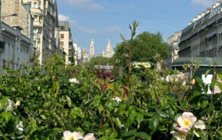 Vue du Sacré Coeur depuis le boulevard des Batignolles, Paris 17e (75)