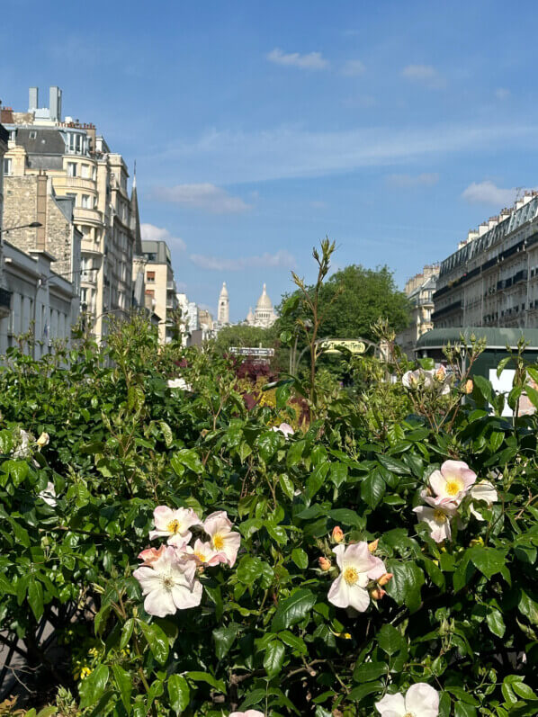 Vue du Sacré Coeur depuis le boulevard des Batignolles, Paris 17e (75)