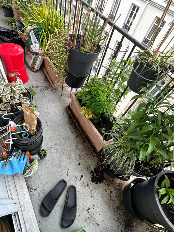 Jardinage au printemps sur mon balcon parisien, Paris 19e (75)