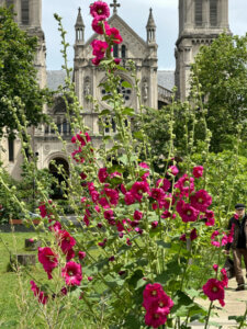 Lire la suite à propos de l’article Grande et belle rose trémière dans le jardin Truillot (Paris 11e)