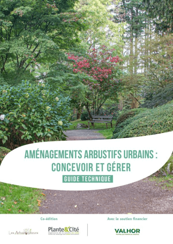 Lire la suite à propos de l’article Aménagements arbustifs urbains : concevoir et gérer