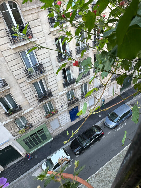 Lire la suite à propos de l’article Mes capucines s’échappent de mon balcon