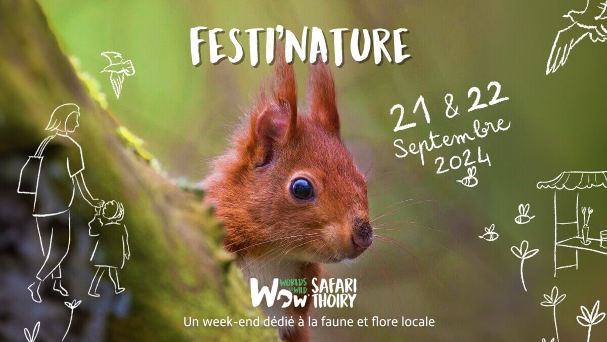 Lire la suite à propos de l’article 1ère édition du Festi’Nature à Thoiry