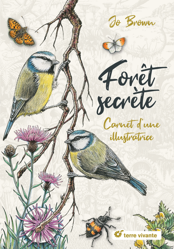 Lire la suite à propos de l’article Forêt secrète – Carnet d’une illustratrice