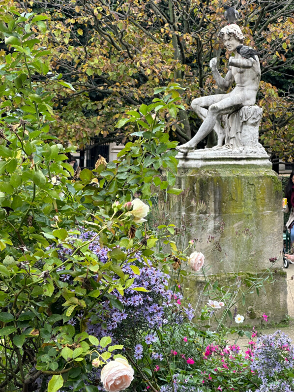 En automne dans les jardins du Palais Royal, Paris 1er (75)