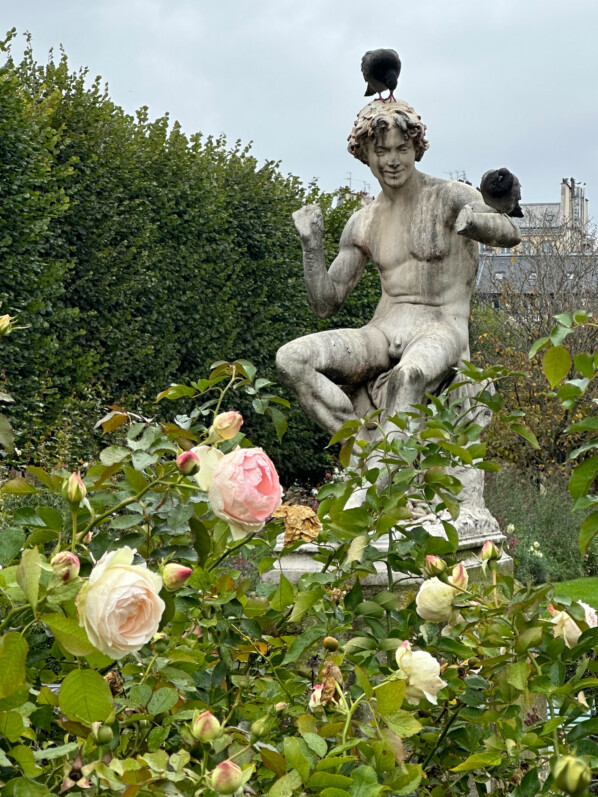 En automne dans les jardins du Palais Royal, Paris 1er (75)
