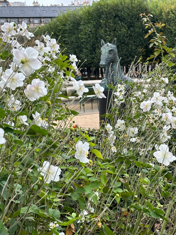 En automne dans les jardins du Palais Royal, Paris 1er (75)