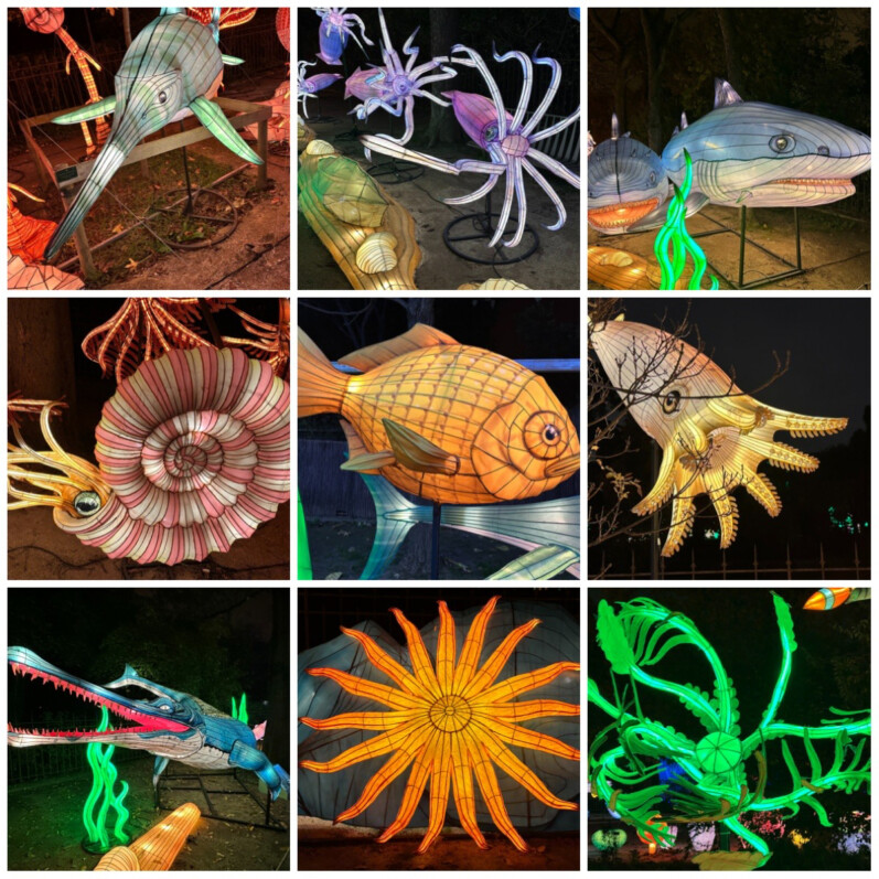 Jurassique en voie d'illumination, collage MOLDIV, Jardin des Plantes, Paris 5e (75)