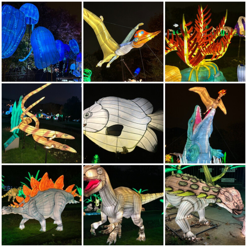 Jurassique en voie d'illumination, collage MOLDIV, Jardin des Plantes, Paris 5e (75)