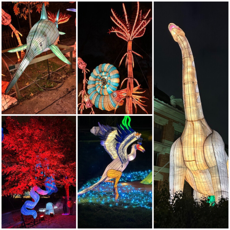 Jurassique en voie d'illumination, collage MOLDIV, Jardin des Plantes, Paris 5e (75)