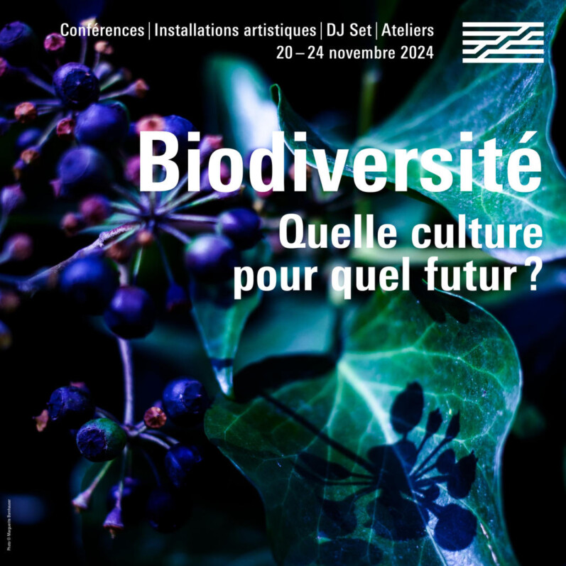 Lire la suite à propos de l’article Du 20 au 24 novembre 2024, forum “Biodiversité : quelle culture pour quel futur ?”