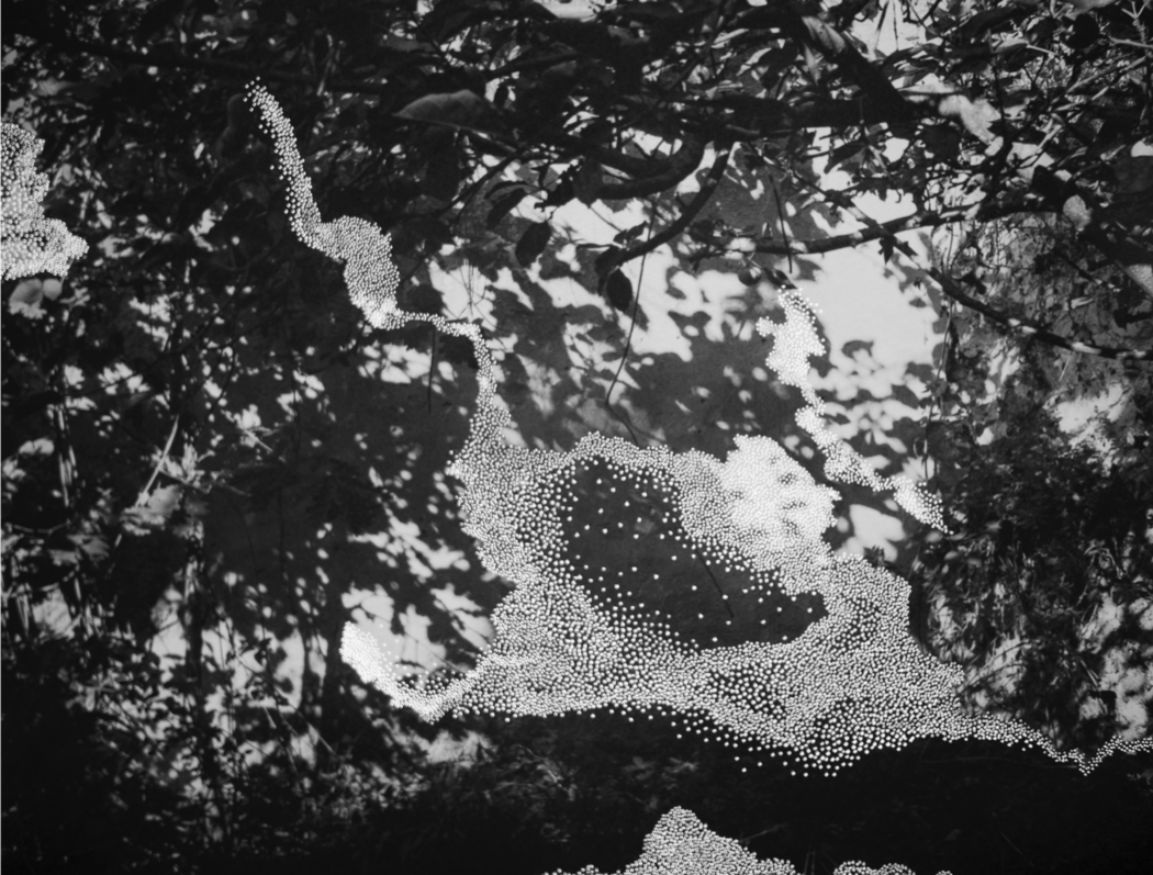 Le Bruissement entre les murs, Clara Chichin et Sabatina Leccia, Impression jet d'encre pigmentaire sur papier, 58 x 68 cm
