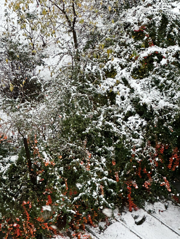 Neige, Paris 19e (75)