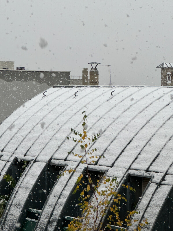 Neige, Paris 19e (75)