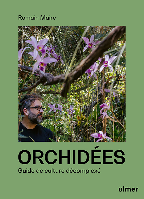 Lire la suite à propos de l’article Orchidées