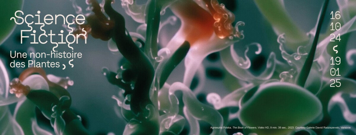 Exposition "Science/Fiction - Une non-histoire des plantes" à la MEP (Paris 4e)