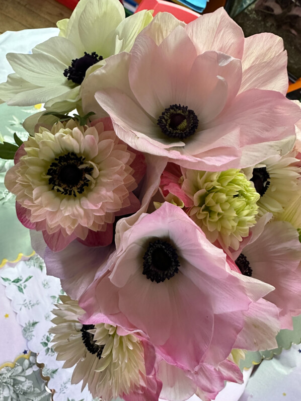 Bouquet d'anémones des fleuristes à fleurs simples et doubles, Paris 19e (75)