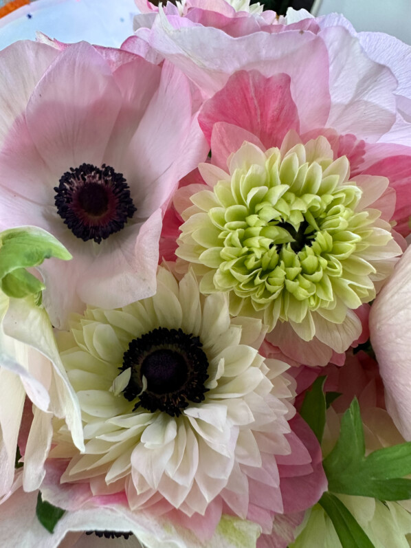 Bouquet d'anémones des fleuristes à fleurs simples et doubles, Paris 19e (75)