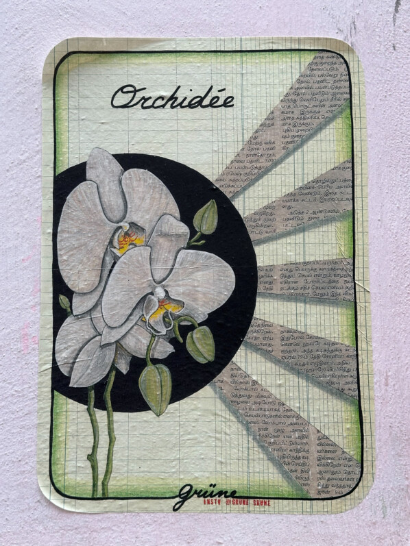Lire la suite à propos de l’article Orchidées – Grüne (Paris 18e)