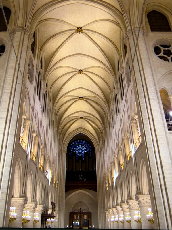 Cathédrale Notre-Dame, Île de la Cité, Paris 4ème (75)