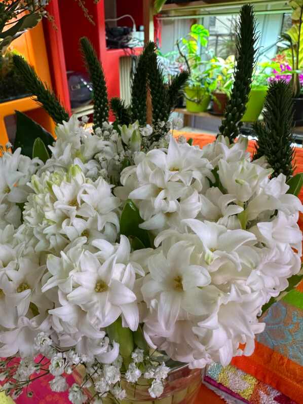 Bouquet, fleurs coupées, Paris 19e (75)