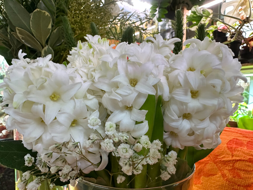 Bouquet, fleurs coupées, Paris 19e (75)