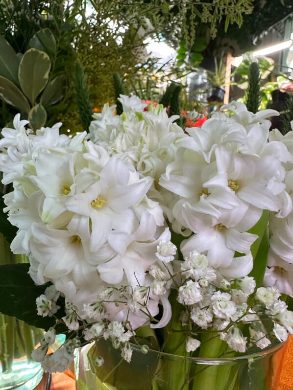 Bouquet, fleurs coupées, Paris 19e (75)