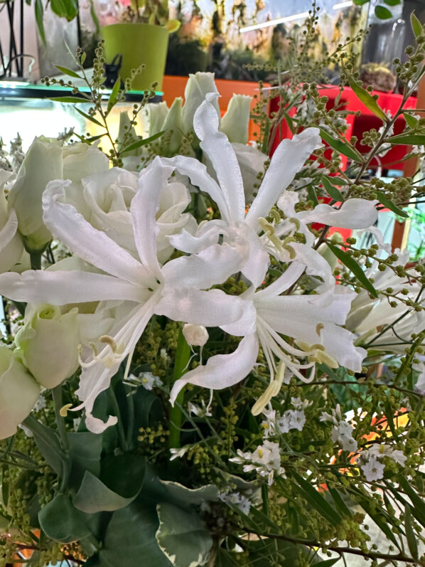 Bouquet de lisianthus, narines et mimosa, fleurs coupées, Paris 19e (75)
