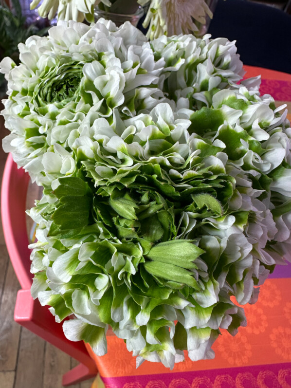 Bouquet de renoncules Ponpon Igloo, Paris 19e (75)
