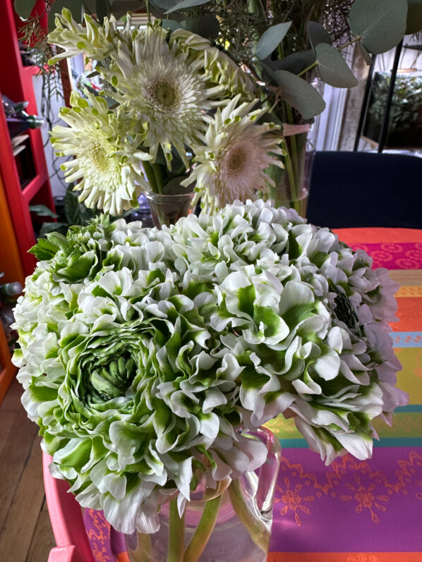 Bouquet de renoncules Ponpon Igloo, Paris 19e (75)