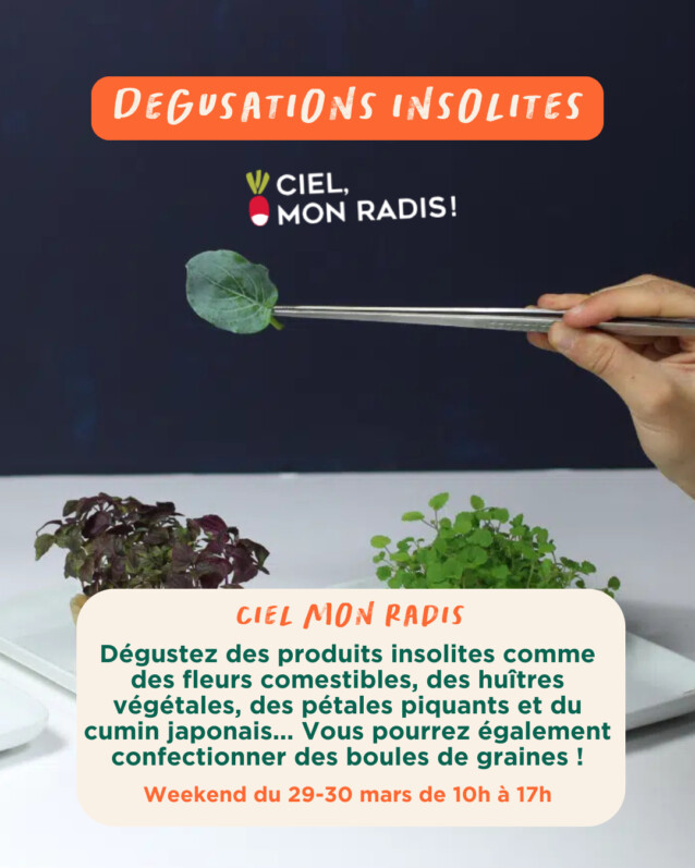 Bercy Village lance le Festival Nature Urbaine les 29 et 30 mars 2025