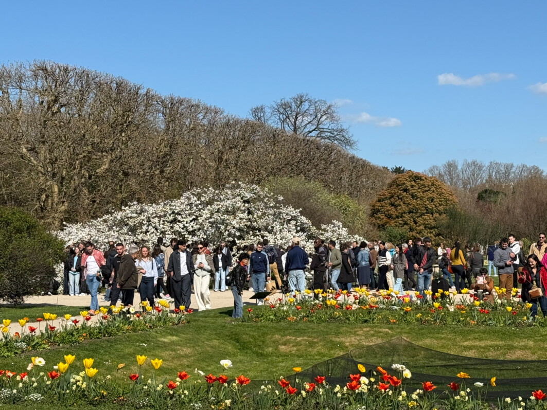 Floraisons au début du printemps dans le Jardin des plantes, Paris 5e (75)