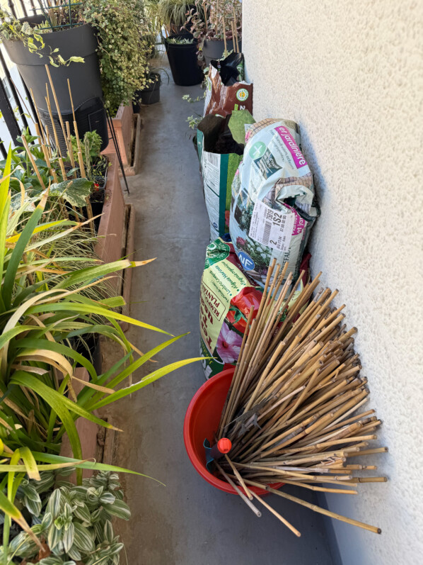 Lire la suite à propos de l’article C’est parti pour de nouvelles longues séances de jardinage sur mon balcon parisien