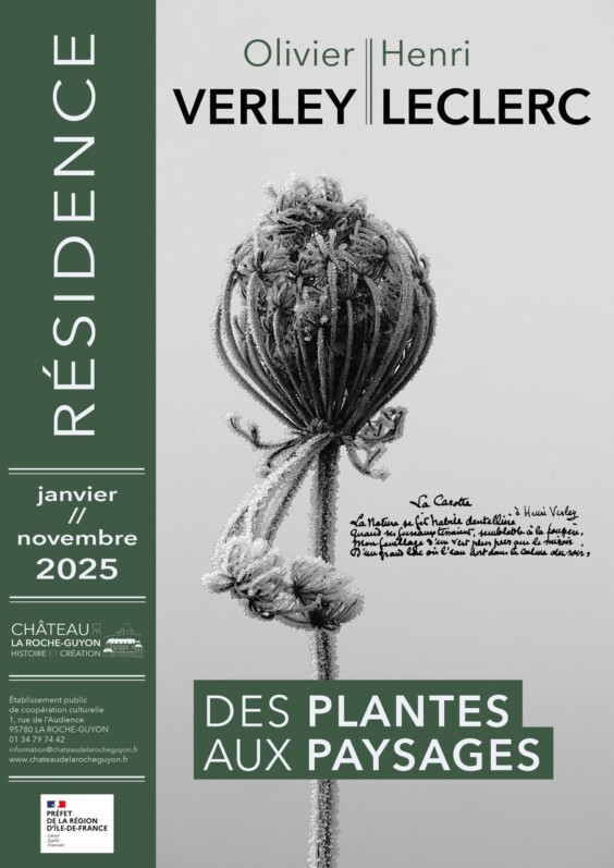 Exposition « Des plantes aux paysages » d’Olivier VERLEY au château de La Roche-Guyon (95) du 24 mai au 30 novembre 2025