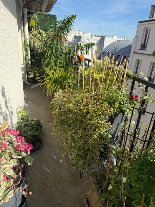 Soleil et températures estivales sur mon balcon parisien, Paris 19e (75)