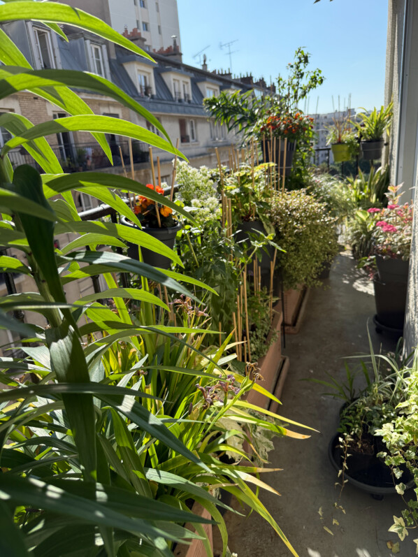 Mon balcon parisien au petit matin sous un soleil radieux
